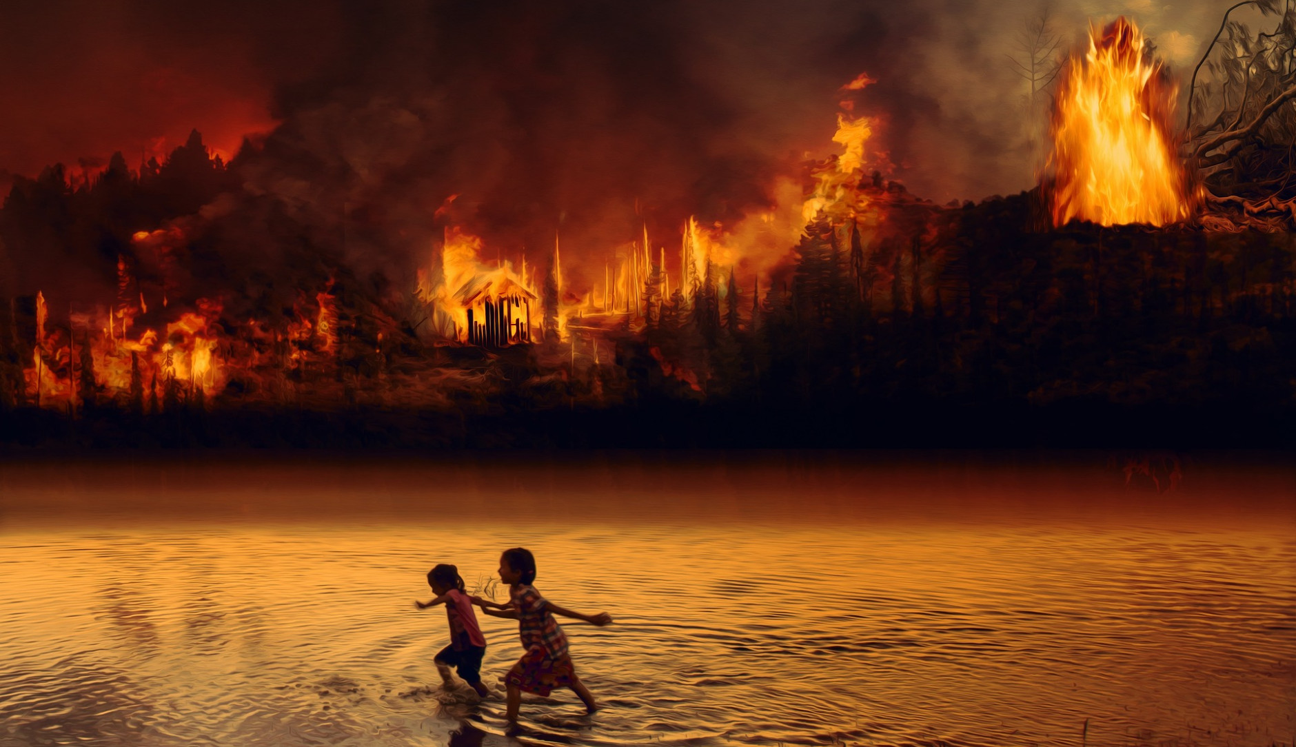 Amazonie en feu