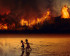 Amazonie en feu