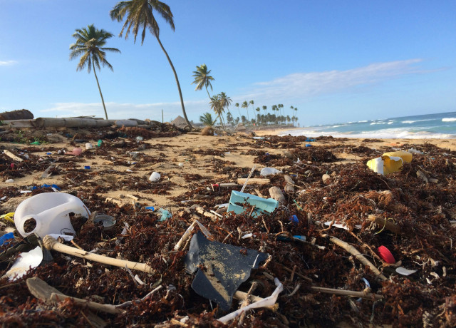 detchets plastiques sur une plage