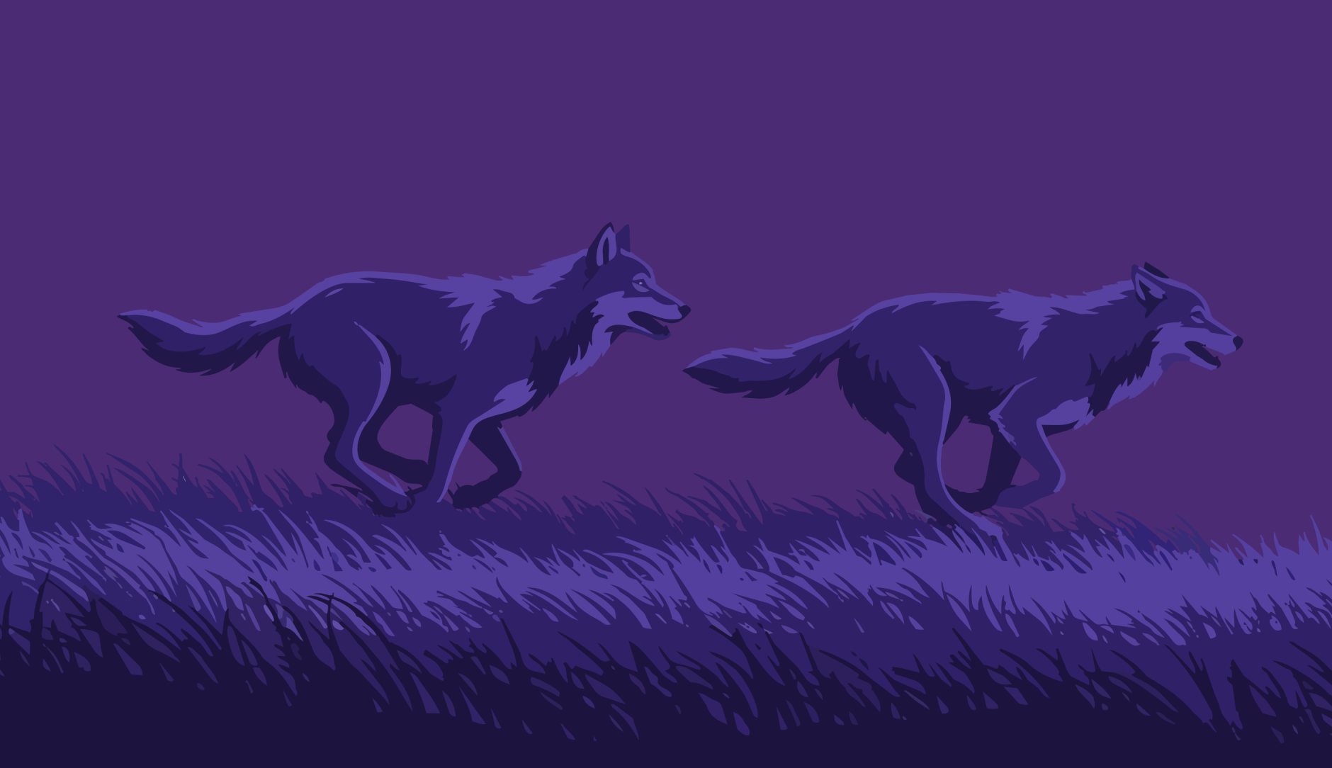 Les loups à la chasse