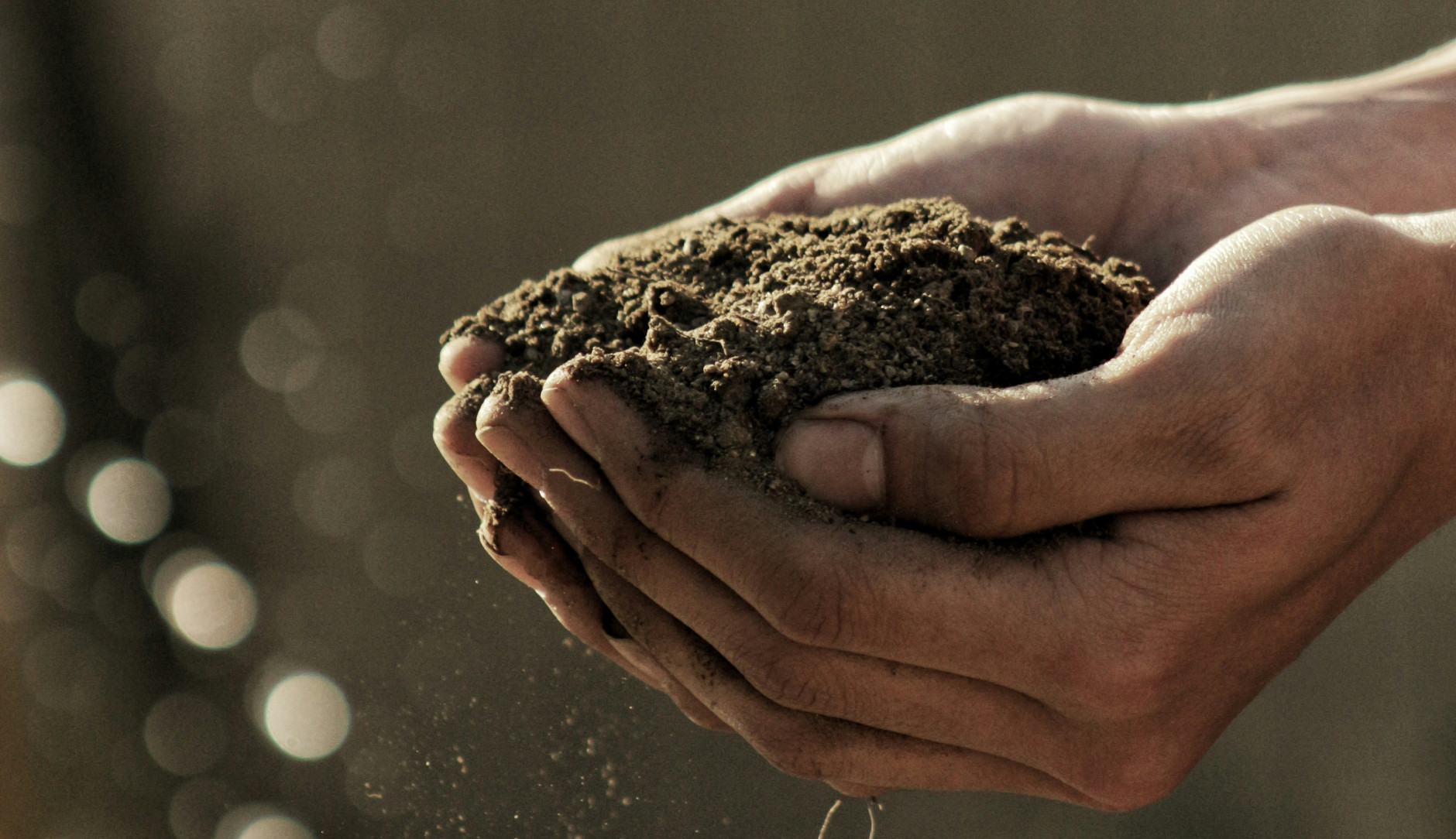 soil held in a pair of hands