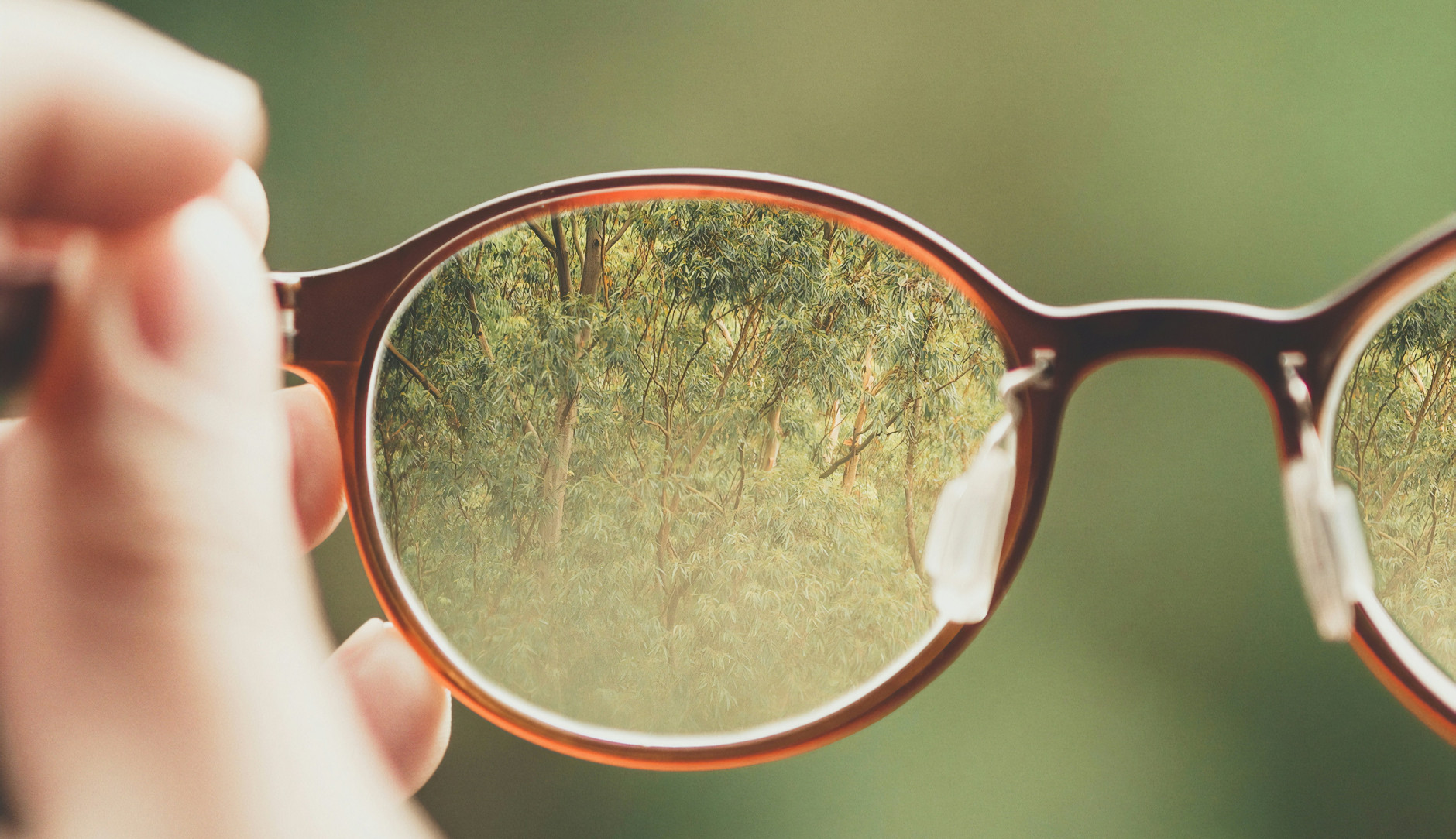Une image illustrant la transparence avec des lunettes montrant clairement de la végétation sur un fond vert flou