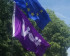 Drapeau de Volt et drapeau européen brandis par des activistes