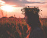 flower crown in a field at sunset