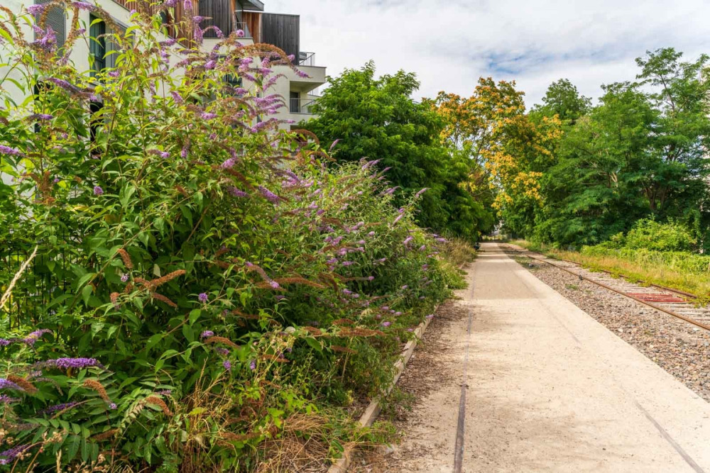 ancienne voie ferrée, promenade paris