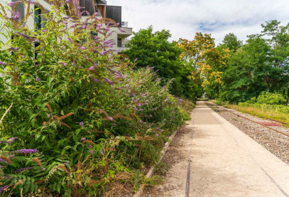 ancienne voie ferrée, promenade paris
