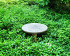 Table ronde entourée de feuilles vertes
