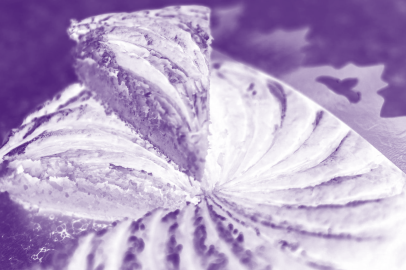 galette des rois violet