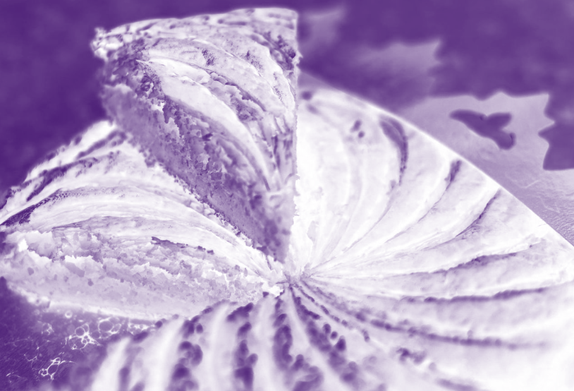 galette des rois violet